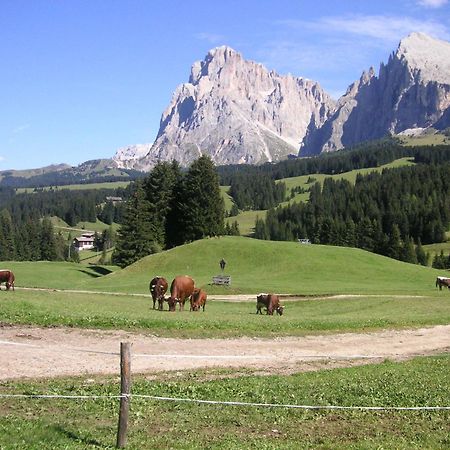 Hotel Flora Selva di Val Gardena Ngoại thất bức ảnh